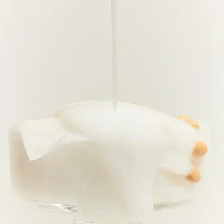 MIXSOON Soybean Milk Serum
