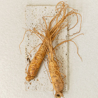 BEAUTY OF JOSEON GINSENG ESSENCE WATER TONER